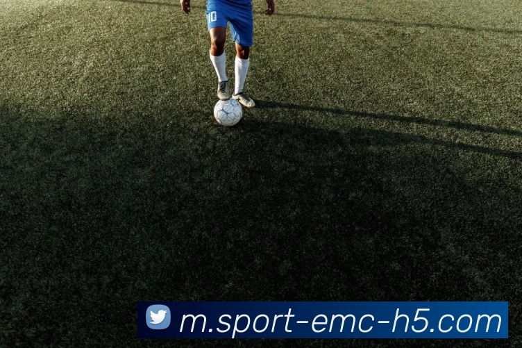 易倍体育平台生态图