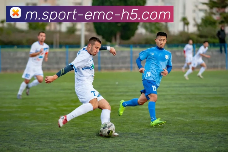 易倍体育APP 封面图